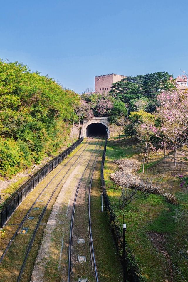 東莞松山湖 | 藏在城市中的童話之境