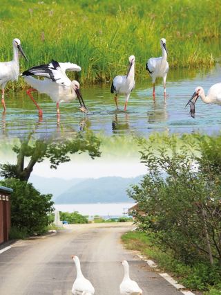 Yesan-gun: A charming city with beautiful sunshine
