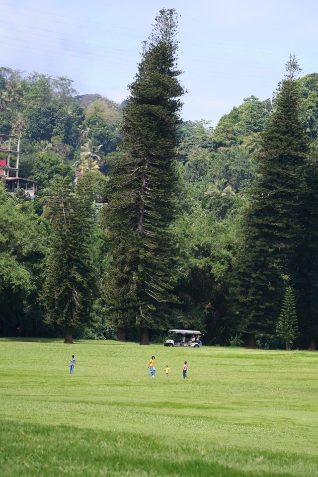 Discover the Enchanting Royal Botanical Gardens in Kandy, Sri Lanka