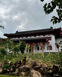 邂逅南山，共赴一場福壽之約