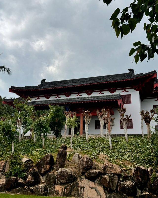 邂逅南山，共赴一場福壽之約