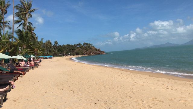 椰樹棕櫚海灘度假村，絕佳度假體驗