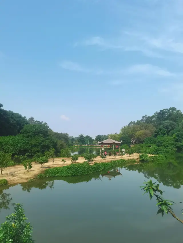 Foshan Nanguo Peach Garden | A hidden 'paradise' in Nanhai, Foshan 
