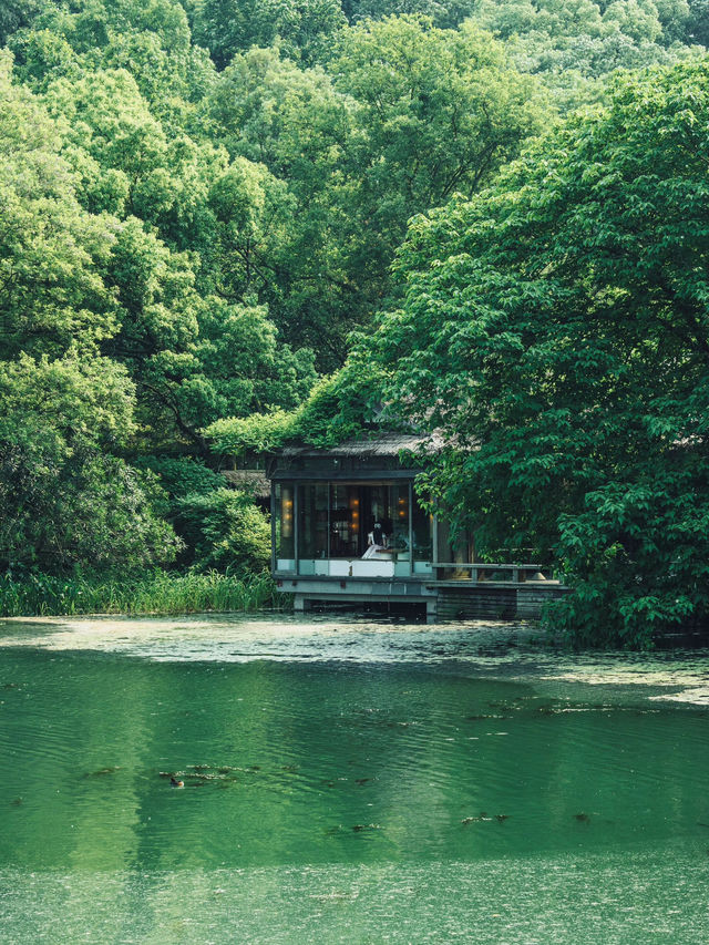 杭州西湖初夏小眾一日遊路線人少景靚好影