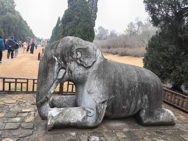 明顯陵