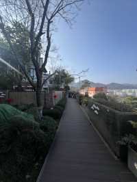 昆明 茶馬花園度假酒店