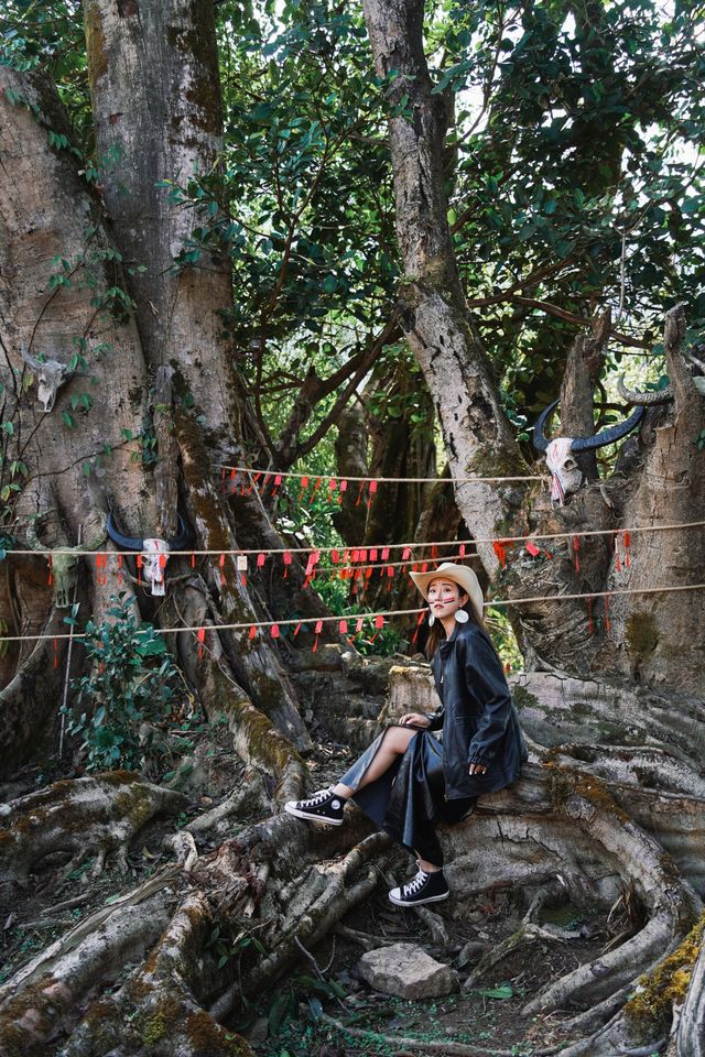燒毀重建的翁丁村還值得去嗎