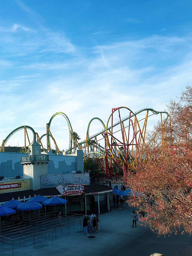 Experience the Thrills and Excitement at Six Flags
