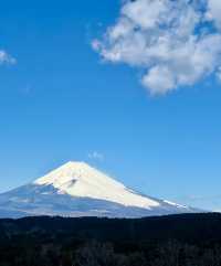 探秘三島天空步道｜解鎖雲端之上的神秘美景