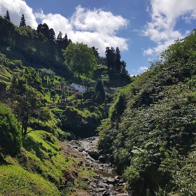 葡萄牙聖米格爾島卡爾代龍溪自然公園：自然愛好者的天堂