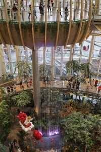 重慶版“樟宜機場”現在的購物公園都這麼卷了嗎
