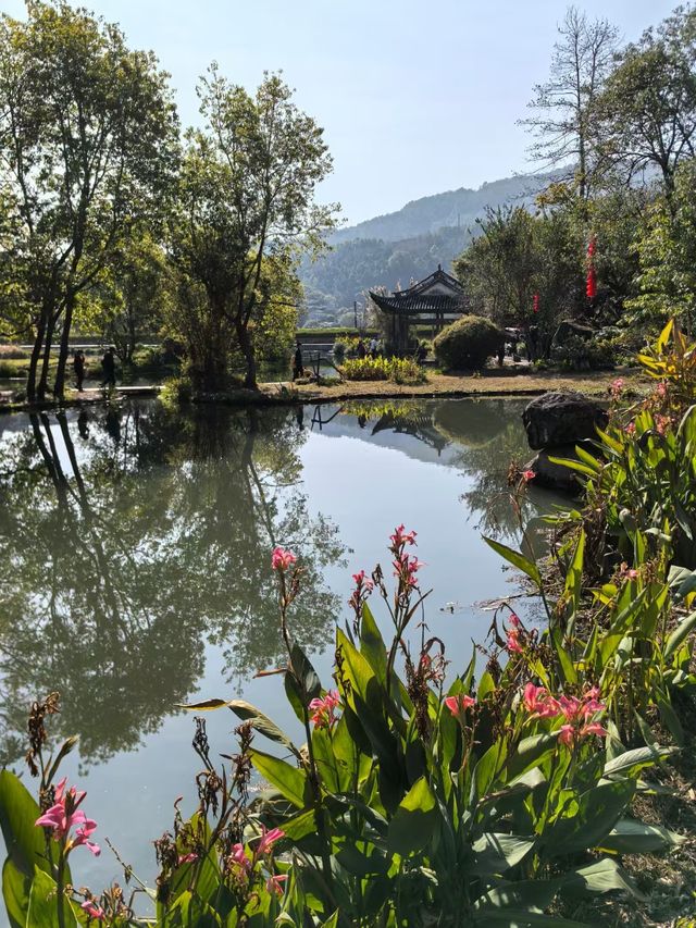 和順古鎮野鴨湖