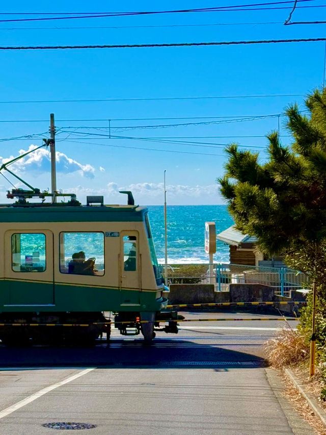 日本江之島旅行