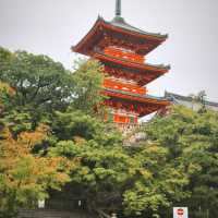 第一次去京都，這條3日路線直接抄❗