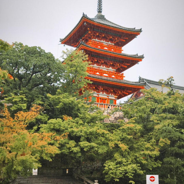 第一次去京都，這條3日路線直接抄❗