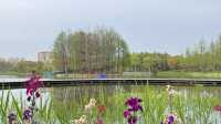 長興島濕地公園，春日治癒系被這裡承包了！