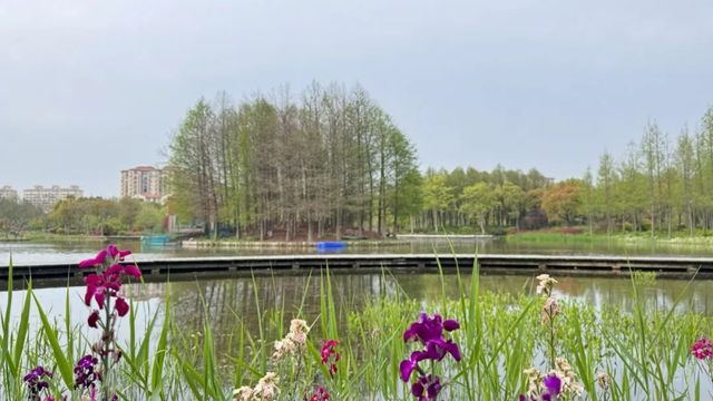 長興島濕地公園，春日治癒系被這裡承包了！