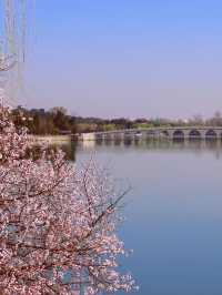 北京賞桃花·頤和園