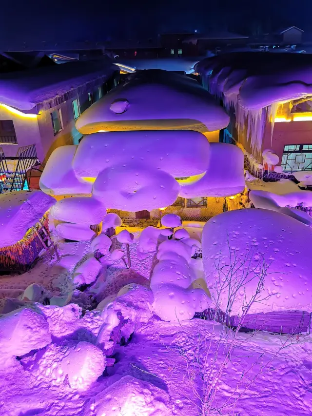 3-Day Harbin-China Snow Town Tour: Hot Springs &amp; Snowy Landscapes