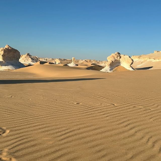 「白色沙漠（White Desert）終極旅遊攻略」    彷彿置身異星球，埃及