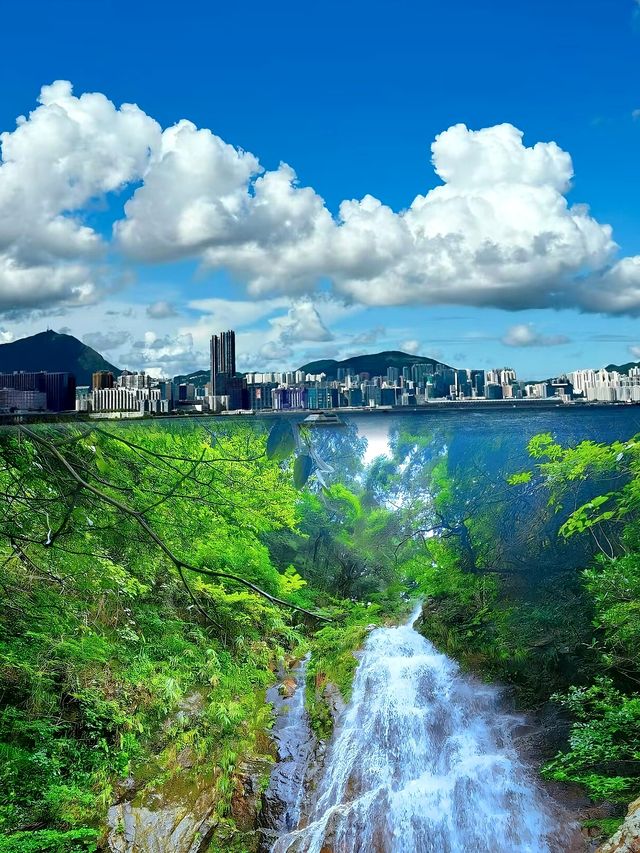 宮崎駿誠不欺我！香港竟然藏著現實版天空之城