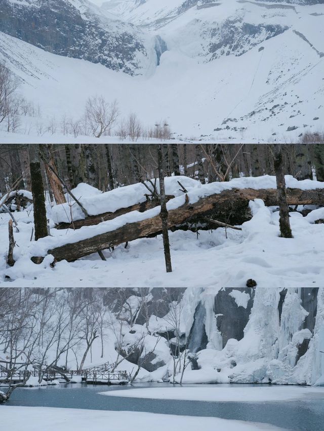 5日白山遊 清明出發景點都在這裏