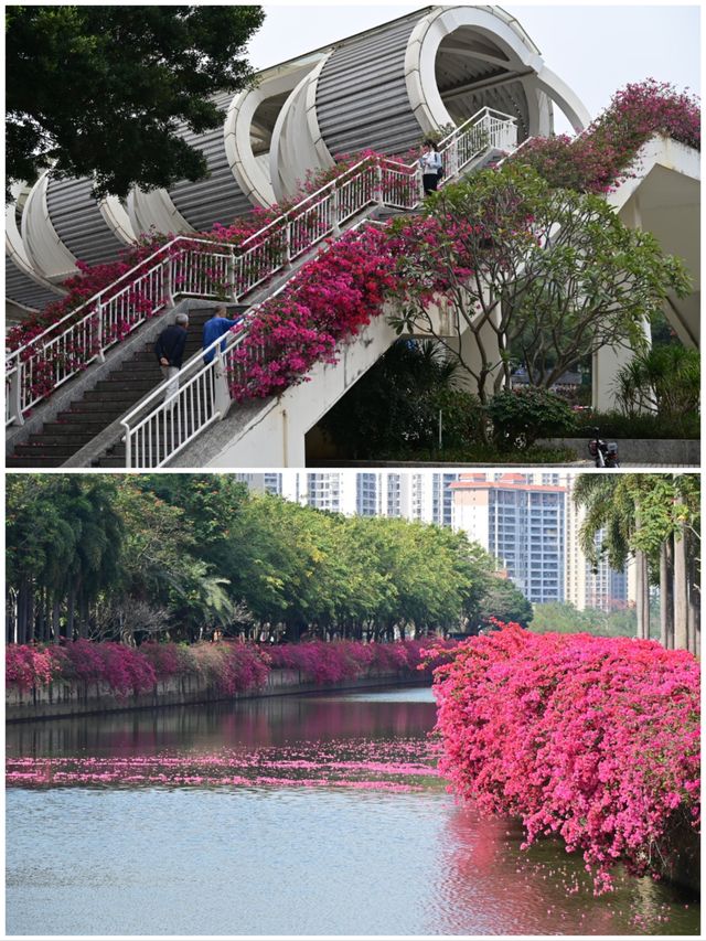 廣東始發站湛江，是赤坎通往大海的浪漫。