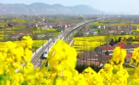 邂逅古韵与生機交織——陝西兩日遊（二）。