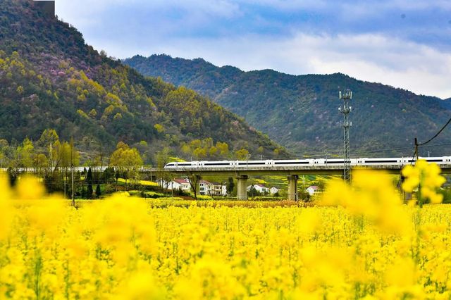 邂逅古韵与生機交織——陝西兩日遊（二）。