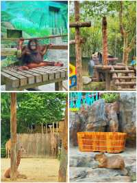 上海野生動物園的小動物們都太會整活啦