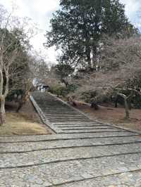 手向山神社：奈良的隱藏瑰寶⛩️🌸