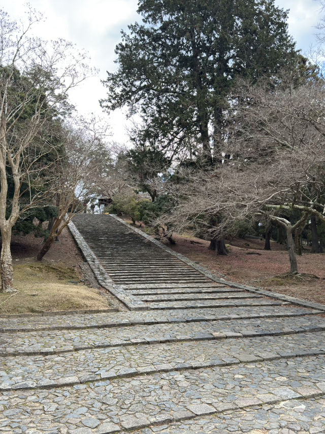手向山神社：奈良的隱藏瑰寶⛩️🌸