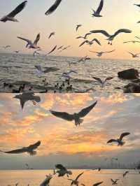 深圳灣公園歡樂海岸 | 寶藏玩法