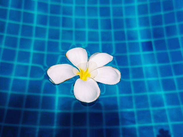 Phuket in Spring: A Tropical Paradise Awakens