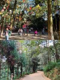 春日限定！西山公園櫻花盛宴來襲