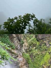 避暑還是要去山裡面喔