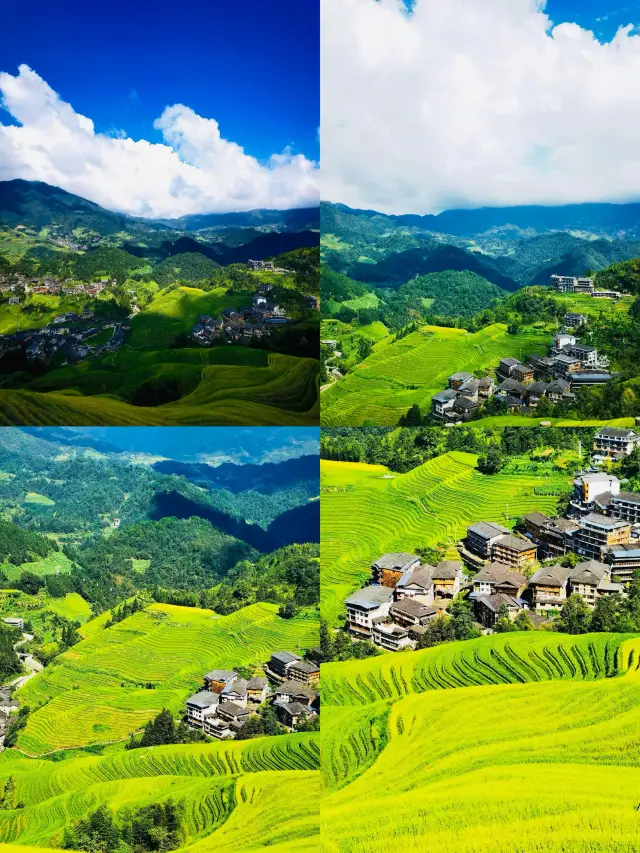 Discover breathtaking scenery at the enchanting Longji Rice Terraces.