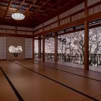 京都🌸3條此生必走的City Walk賞櫻路線