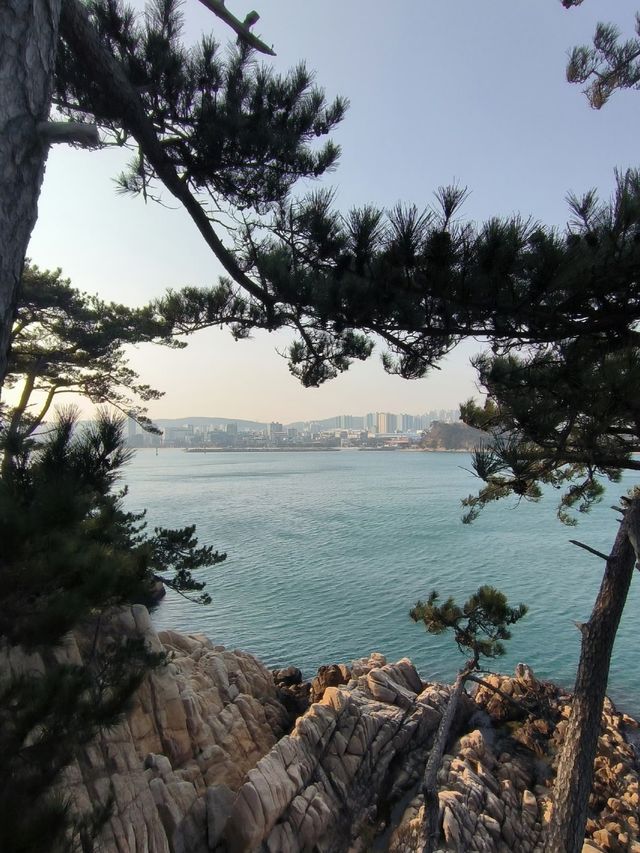 別只知道首爾啦！蔚山才是韓國寶藏旅行地