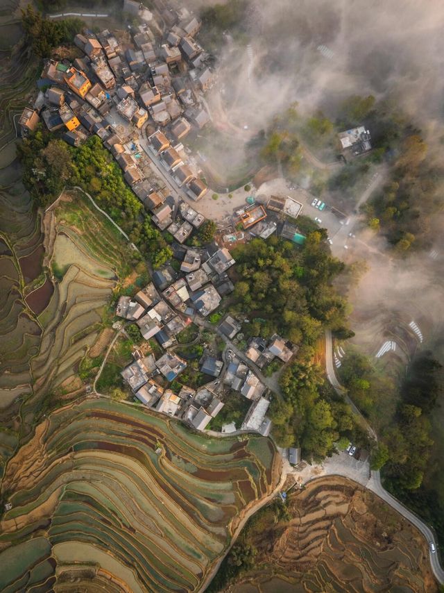 元陽梯田日出