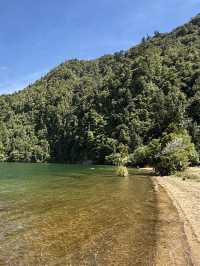 A Swim Like No Other, The Lakes In The Bay Of Plenty New Zealand