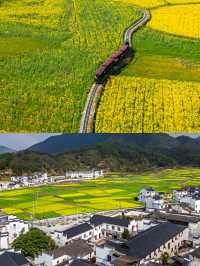 婺源賞油菜花‖打卡避坑攻略