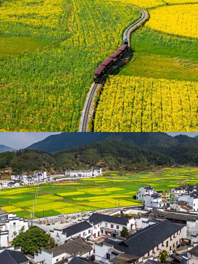 婺源賞油菜花‖打卡避坑攻略