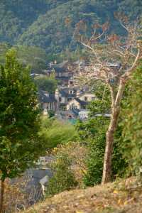 拜託誰不知道深圳這個免費的莫奈花園我會傷心的