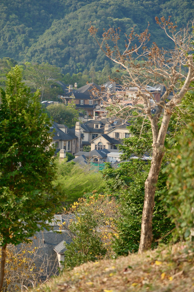 拜託誰不知道深圳這個免費的莫奈花園我會傷心的