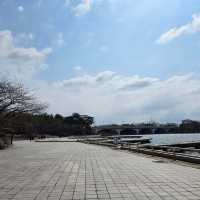 闖進現實版莫奈花園，邂逅高陽市的浪漫
