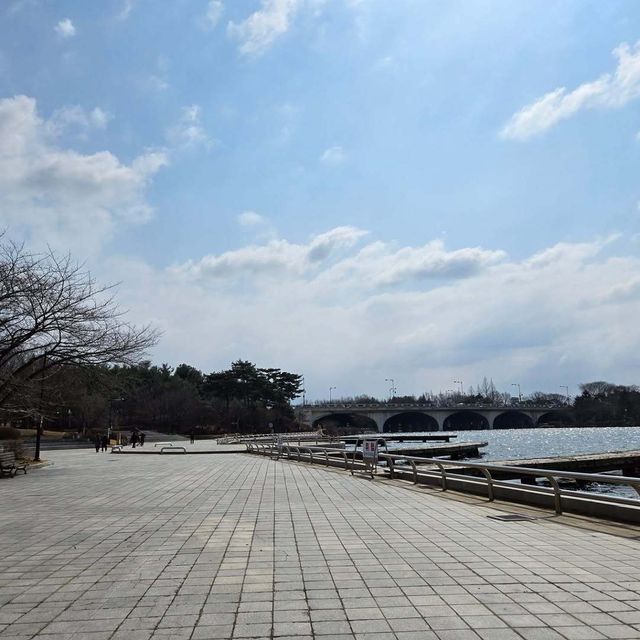 闖進現實版莫奈花園，邂逅高陽市的浪漫
