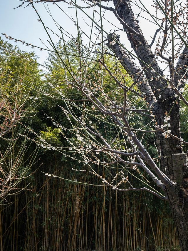 花開海上生態園