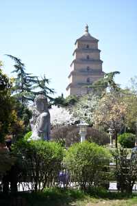 多角度賞花打卡攻略：與經典大雁塔同框