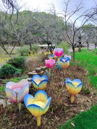 春日來信|鼋頭渚賞櫻樓的限定浪漫